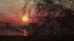 69 reactions · 13 shares | The Official “Cosmic Angels” video is now live on YouTube: https://youtu.be/s_EXR7q2peU Special Thanks to the Love Circle! ⭕️ | Franki Love | Facebook