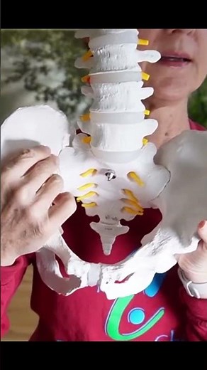 Tai Chi Stance and the Sacrum Your Internal Chair