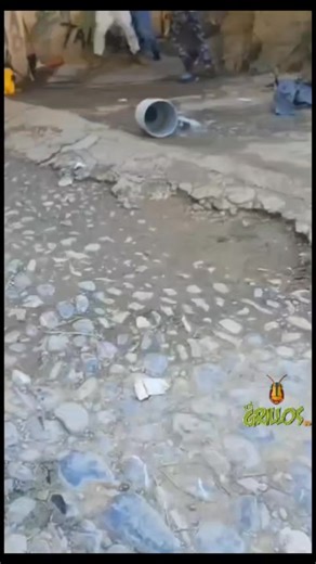 Denuncian a Bertin "N" en redes sociales. Bertin N fue nombrado "cobardemente", su entrevista se volvió viral. #LosGrillosSG Jalpan de Serra, Qro., 22 diciembre 2025.- Bertin "N" fue denunciado en redes sociales en la cuenta de Facebook de Fernando "N" donde lo señalan de ocasionar conflictos con sus vecinos. "Mi mamá vive a un lado de la casa, es su vecina, entonces nosotros no podemos venir a visitar a mi jefa porque el chavo, cada que uno pasa está chingando, aquí se la pasa tomando" denuncia