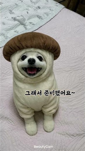 네이버 엑스퍼트 이벤트💖