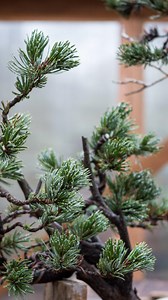 1.2K views · 343 reactions | Curious how to design naturalistic...