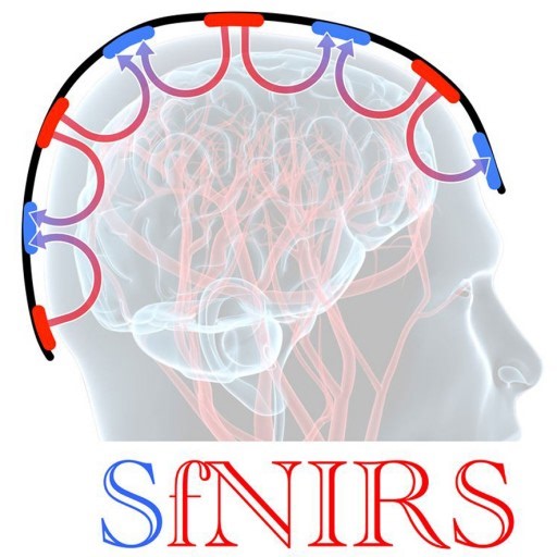 Modified Beer-Lambert Law (MBLL)