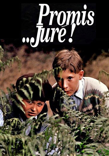 Promis... juré ! - movie: watch streaming online