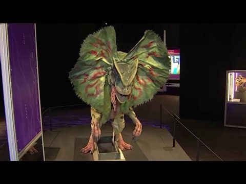 Franklin Institute's Universal Theme Parks exhibit set to open