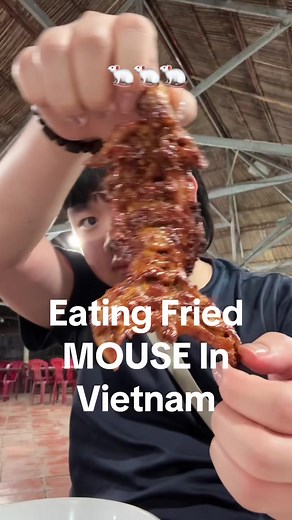 Top 5 Exquisite Exotic Foods in Vietnam