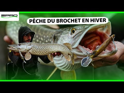 Pêche du Brochet en Hiver ❄️ Float Tube HS… Session 100% Improvisée du Bord !