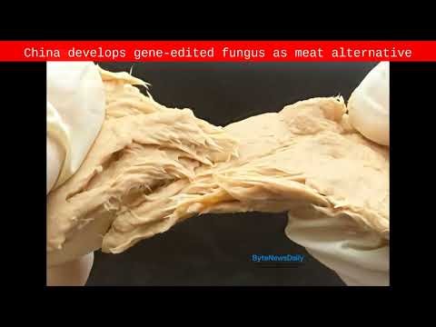 China develops gene-edited fungus as meat alternative - Byte News Daily