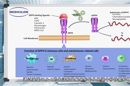 【美迪西请回答】二肽基肽酶4（DPP-4）简介