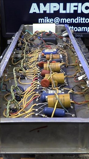 1966 Fender Deluxe Reverb Gut Shots