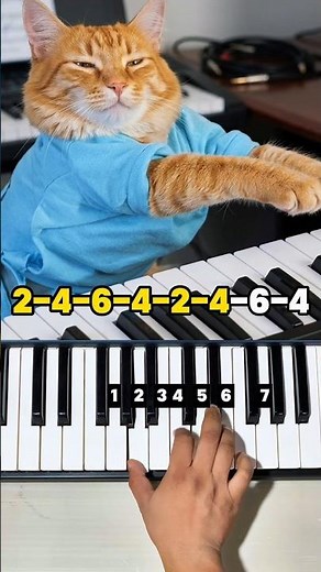 Keyboard Cat Song | Easy Piano Tutorial 🎹 #pianotutorial #shorts