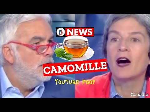CAMOMILLE - CNEWS - Pascal Praud pète un plomb [YTP]