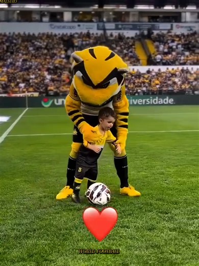 Beautiful Moments in Football: A Celebration of the Game