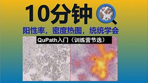 10分钟搞定肿瘤常见分析 - 训练营节选QuPath入门