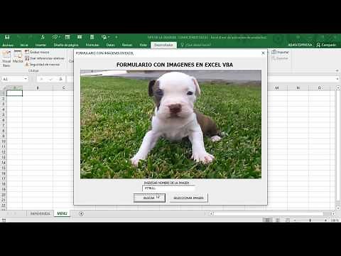 COMO CREAR BUSCADOR DE IMAGENES EN EXCEL VBA 😎😎✅✅| CONOCIENDO EXCEL