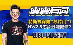 特斯拉深陷“芯片门”！HW2.5芯片涉嫌欺诈？| 震震有词