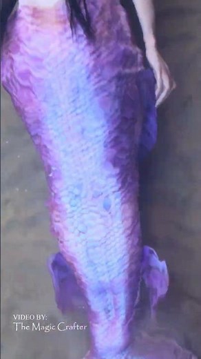 A purple mermaid swims peacefully in Lake Michigan
