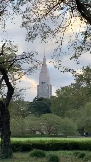 Viaja conmigo a Shinjuku Gyoen en Tokio! 🌳🏙️