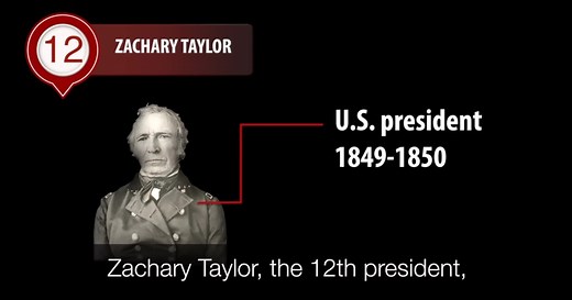 Zachary Taylor: Brief