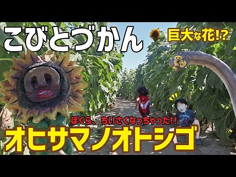 【こびとづかん】オヒサマノオトシゴ！巨大な花!?僕ら小さくなっちゃった!!
