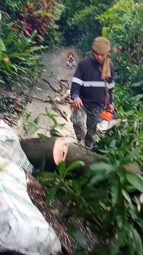 Cleareng operation | Jr Paro Je Colon