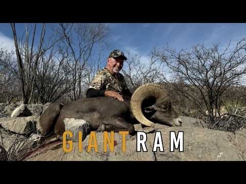 Giant Desert Bighorn Ram Taken in Mexico | Santa Rosa Hunting Ranch Bighorn Sheep Hunt