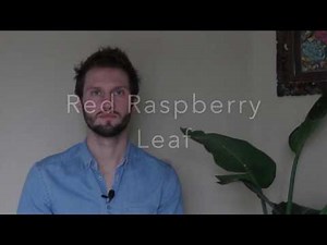 Red Raspberry Leaf Benefits