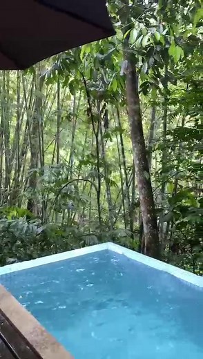 Janda Baik Three Cottage with Private Pool - Resort by the River