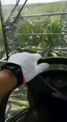 High-Seat Self-Propelled Four-Wheel-Drive Four-Wheel-Steering Corn Topping Machine