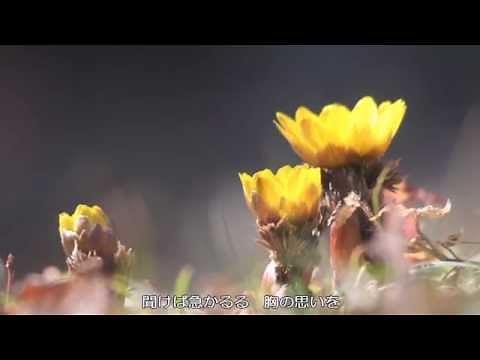 ～早春賦～ 日本合唱協会