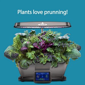 Not pruning is the number one mistake made by new AeroGardeners! Prune early and often and enjoy the small harvests! Prune to maintain a healthy garden, but never take more than 1/3 of each individual plant at a time. | AeroGarden