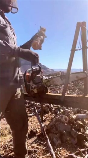 #chainsaw #still Chainsaw