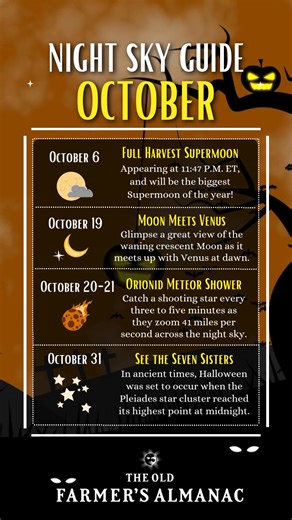 Tilt back your head and look straight overhead. In October, you’ll see the Milky Way split the sky from north to south! You’ll also get a great view of the waning crescent Moon as it meets up with Venus on October 19, of course, the Orionid Meteor Shower, which peaks around the 21st. The Orionids zoom through the sky at 41 miles per second, and deliver a shooting star every three to five minutes. Each of these streakers is an apple-seed-sized piece that fell off history’s most famous celestial o