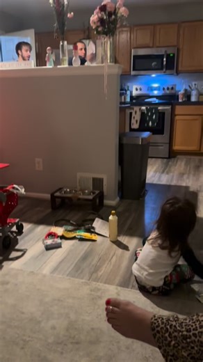 Castle Rock Bernedoodles on Instagram: "It is our great pride and joy to provide the companions of a lifetime. Our Bernedoodles are so special. DM for more info #bernedoodlepuppy #bernedoodle #christmas"