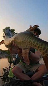 Monster Muskie on Lee Lures Boilermaker while Kayak Fishing!