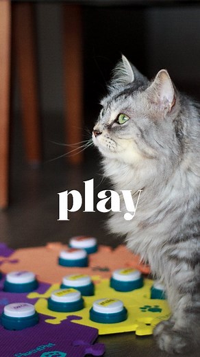 71K views · 11K reactions | It's our one year button anniversary! 拾...