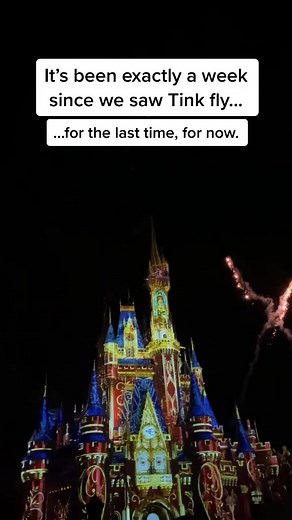 Heartwarming Disney Tinkerbell Fireworks Display