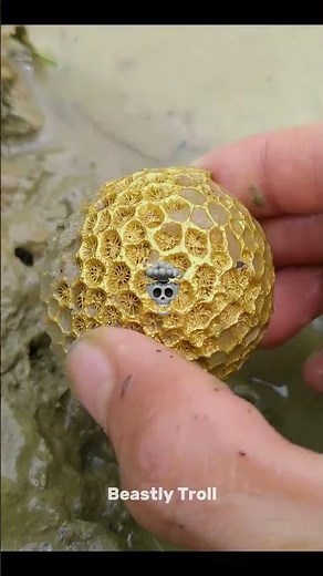 Best Metal Detector Finds💀🤯