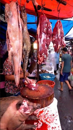 World's WILDEST Street Food: Jungle Market Tour