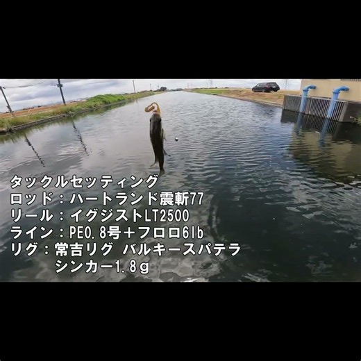 再びのギル祭り#釣り#ハートランド