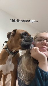 136K views · 3.6K reactions | Trunks the Boxer on Reels | Facebook