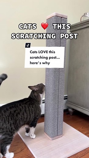 Scratching Post for Cats: Designs that Keep Your Feline Happy and Healthy