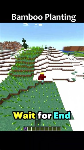 Minecraft Commands 🎍Bamboo Plant💀pt.134 #minecraft #java