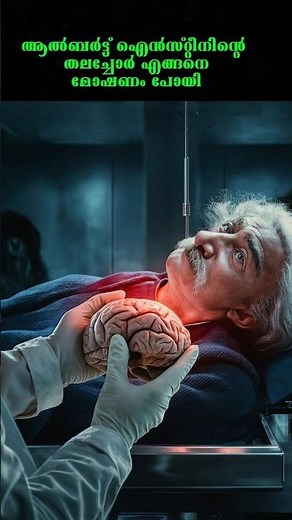 Why Albert Einstein's Brain was cutted into 240 Pieces
