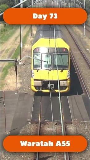 Day 73 Trainspotting on a bridge