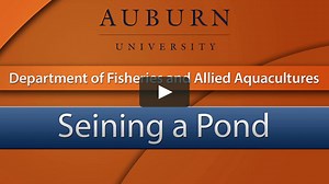 Seining a Pond Instructional Video