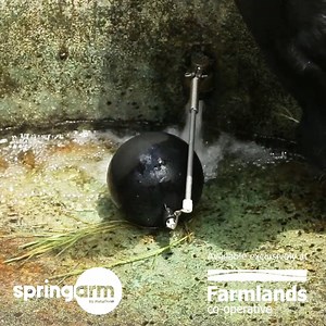 While you’re in-store grabbing a Lucky Deal this autumn, make sure you check out a new and exclusive product to Farmlands – Springarm! Developed using a bit of kiwi ingenuity and winner of the 2021 Fieldays Innovation Award, Springarm offers a great solution to broken ballcocks to help you save time, money and water on farm. | Farmlands Co-operative