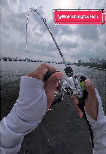 Kayak Fishing in Singapore: A Quick 3-Hour Adventure