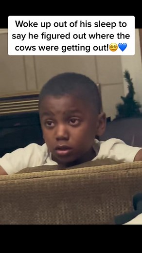 Funny Farm Life with The Tiny Farmer and Cows