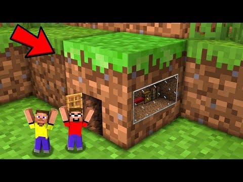 Minecraft but we can go inside blocks...