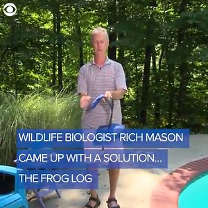 55K views · 396 reactions | Many small wild animals die because they can't get out of the pool. A wildlife biologist has figured out a simple way to save them. | WBZ / CBS News Boston | Facebook